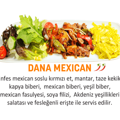 Dana Mexican